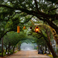 Ocean Springs, MS